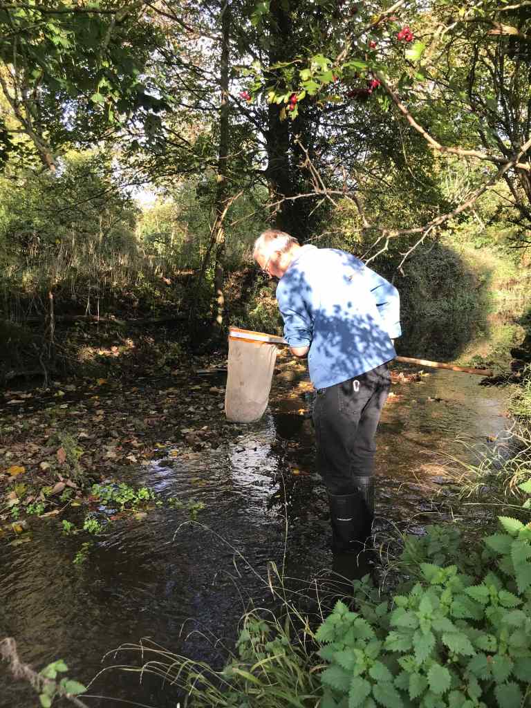 Jack’s Field, River Quin Riverfly Monitoring – October 2022