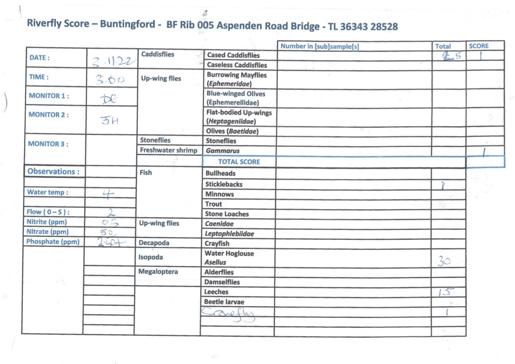Buntingford Aspenden Road Bridge Riverfly Monitoring – December 2022